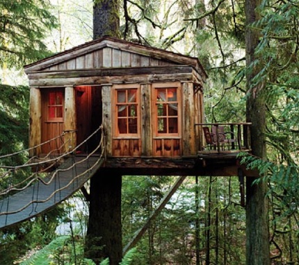 Flash Fiction week 9 another good treehouse